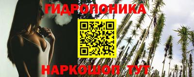 гидра Аргун