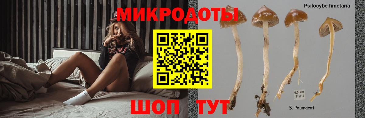 Галлюциногенные грибы Psilocybine cubensis  наркота  Алушта  Вход с VPN 